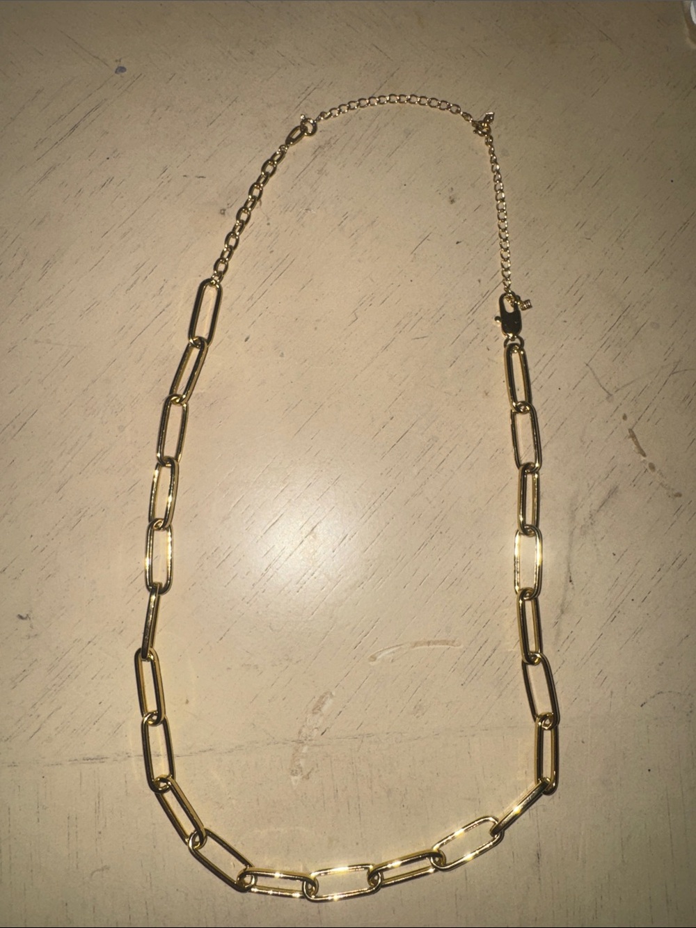 NWOT Ana Luisa Paperclip Necklace - Aspen